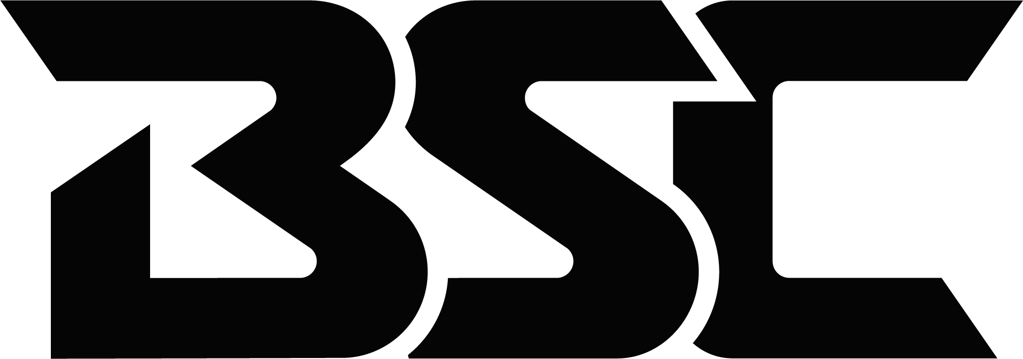 Logo BSC