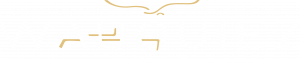 Logo Wauquiez