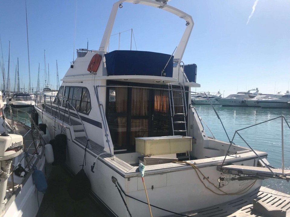 hi-star 48 fishermann 48