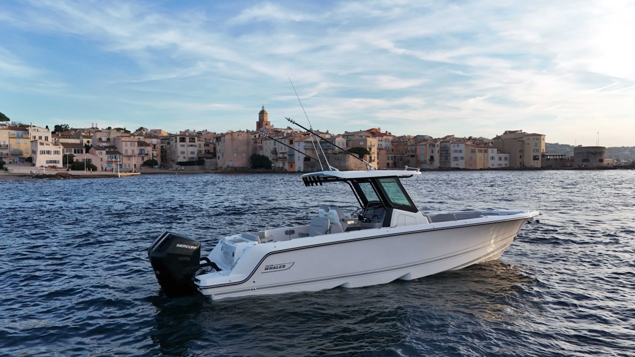 boston whaler