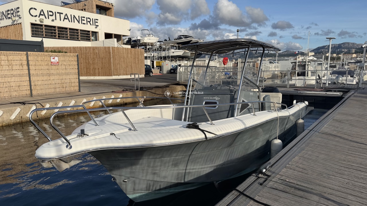 White Shark 245