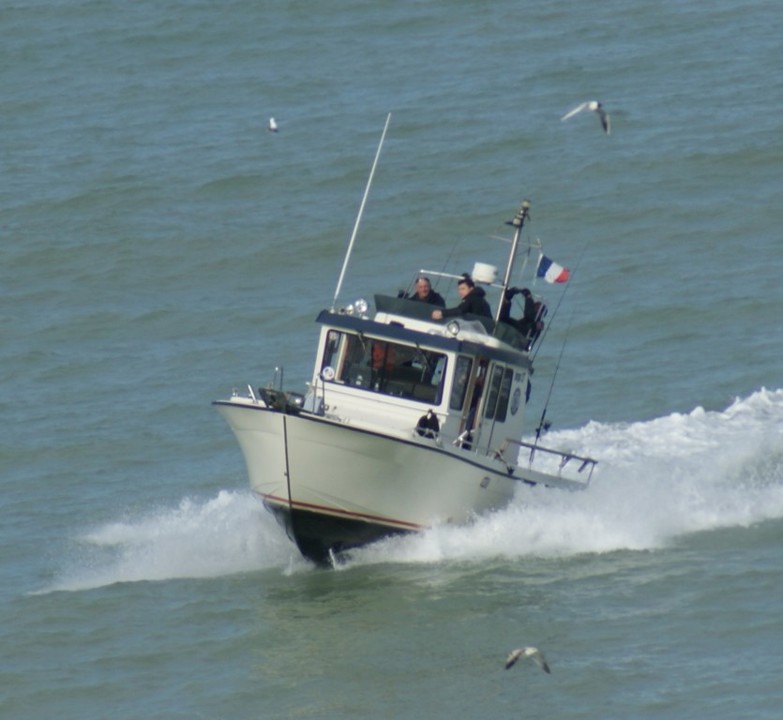 botnia marine targa 27 BLACK FLIBEUR II