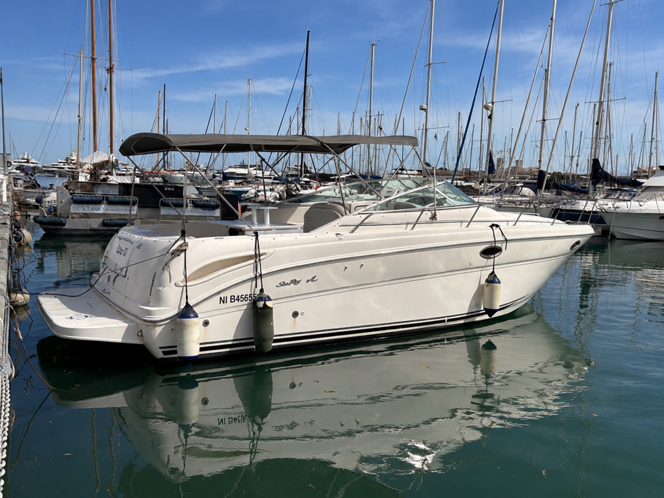 SEA RAY 290 amberjack