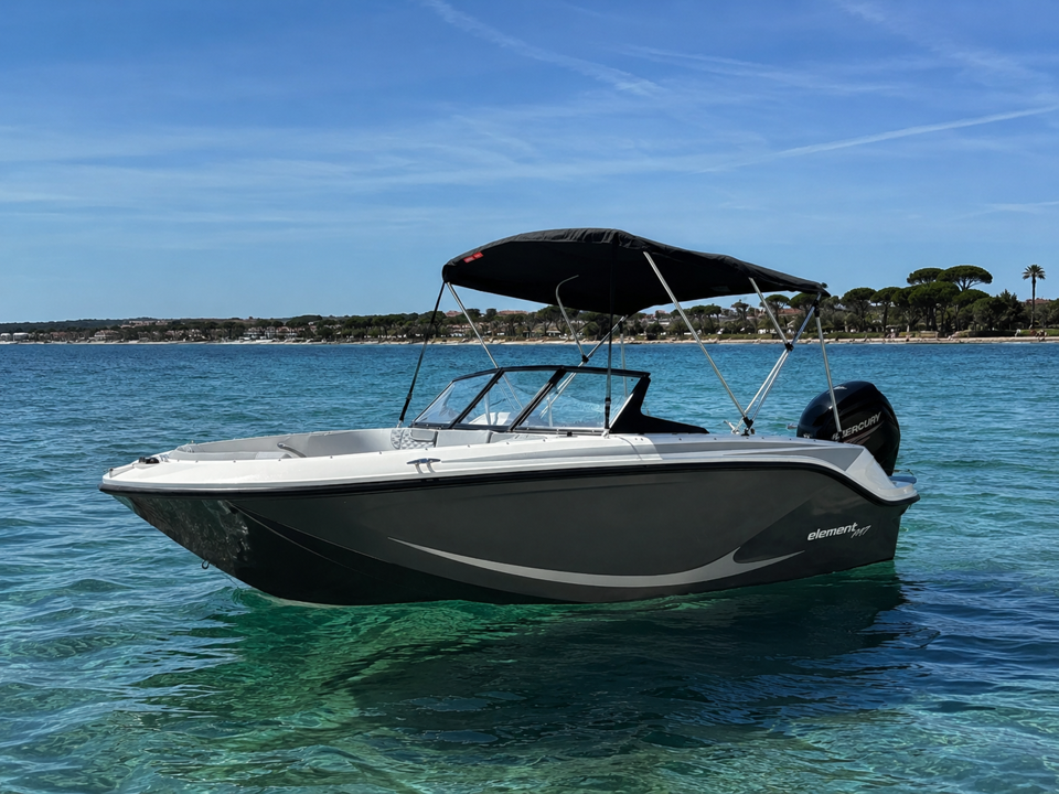 BAYLINER M17