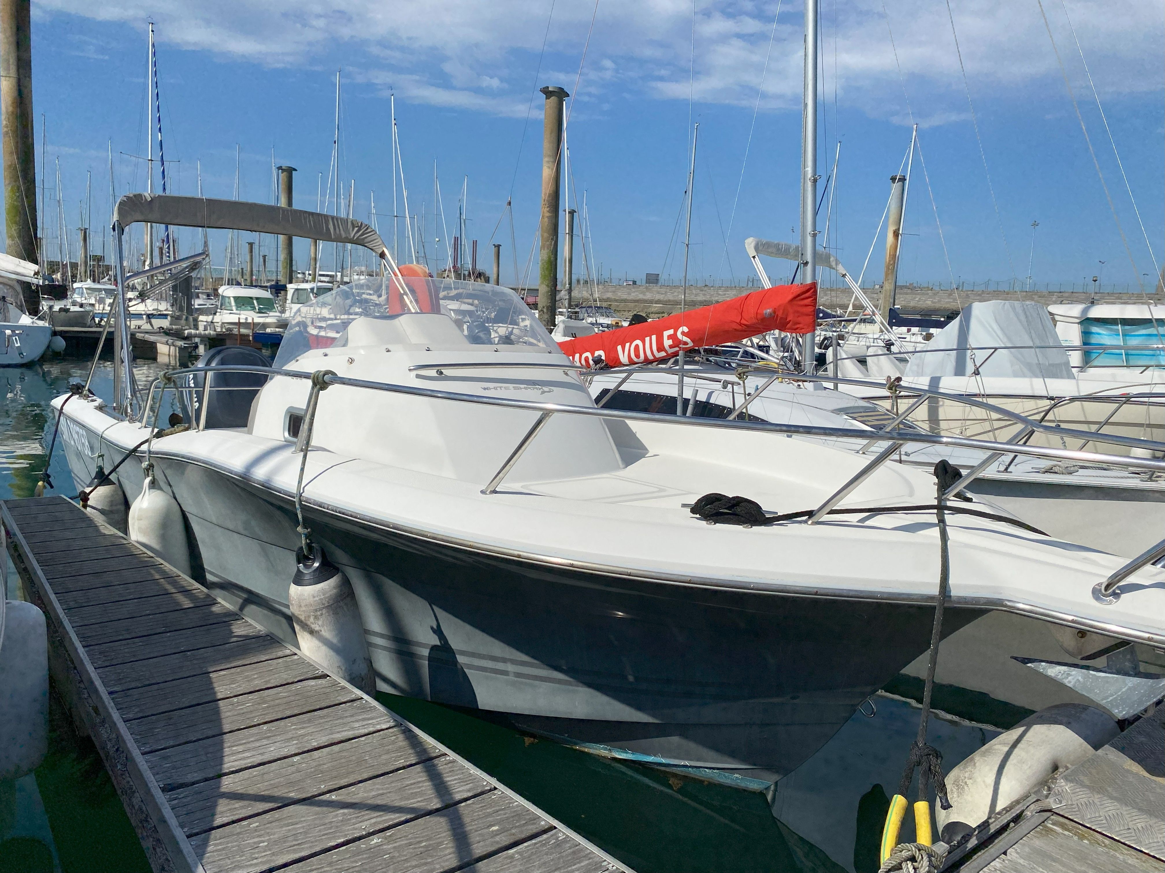 WHITE SHARK 228