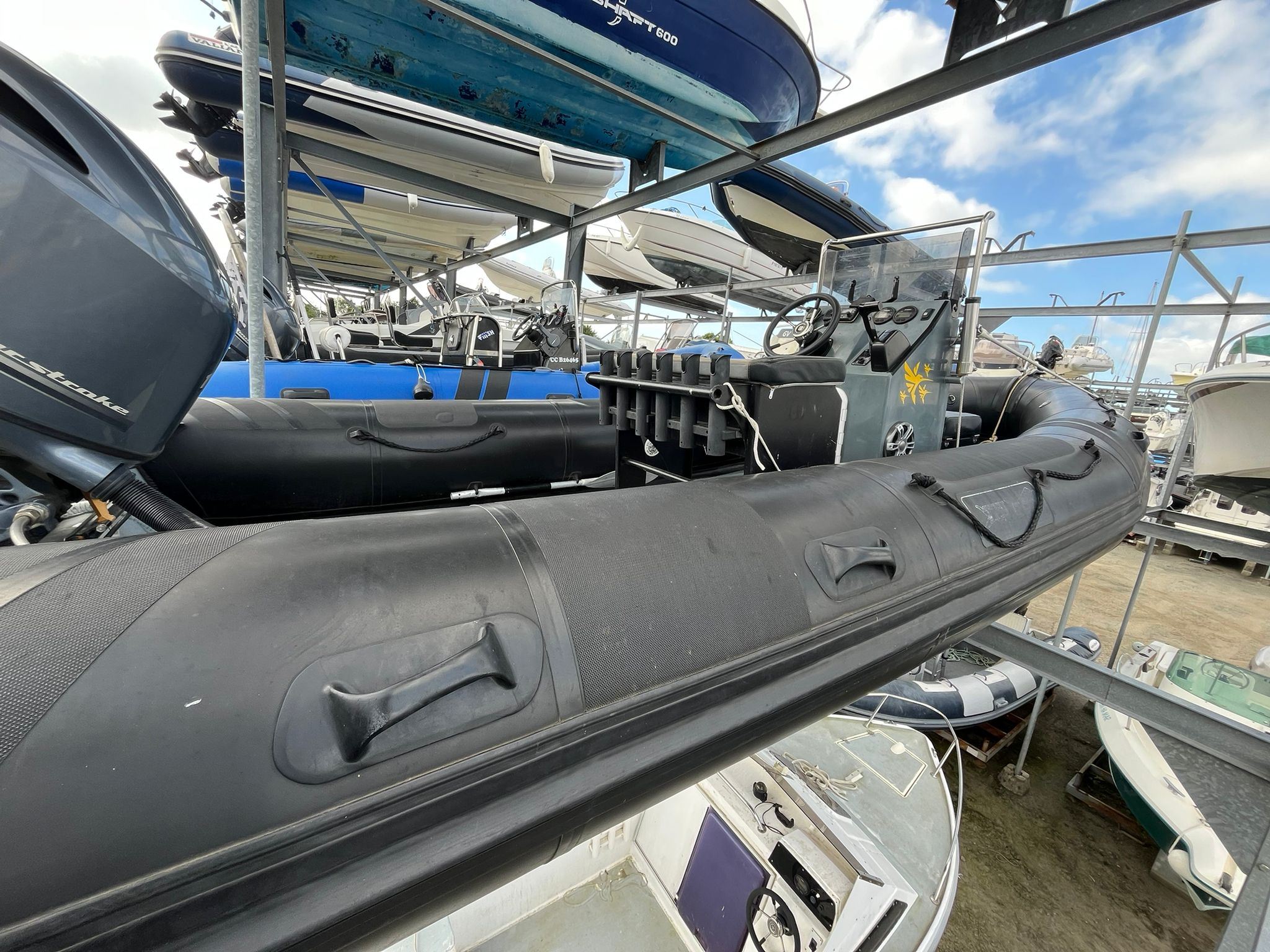 TARPON AD 60