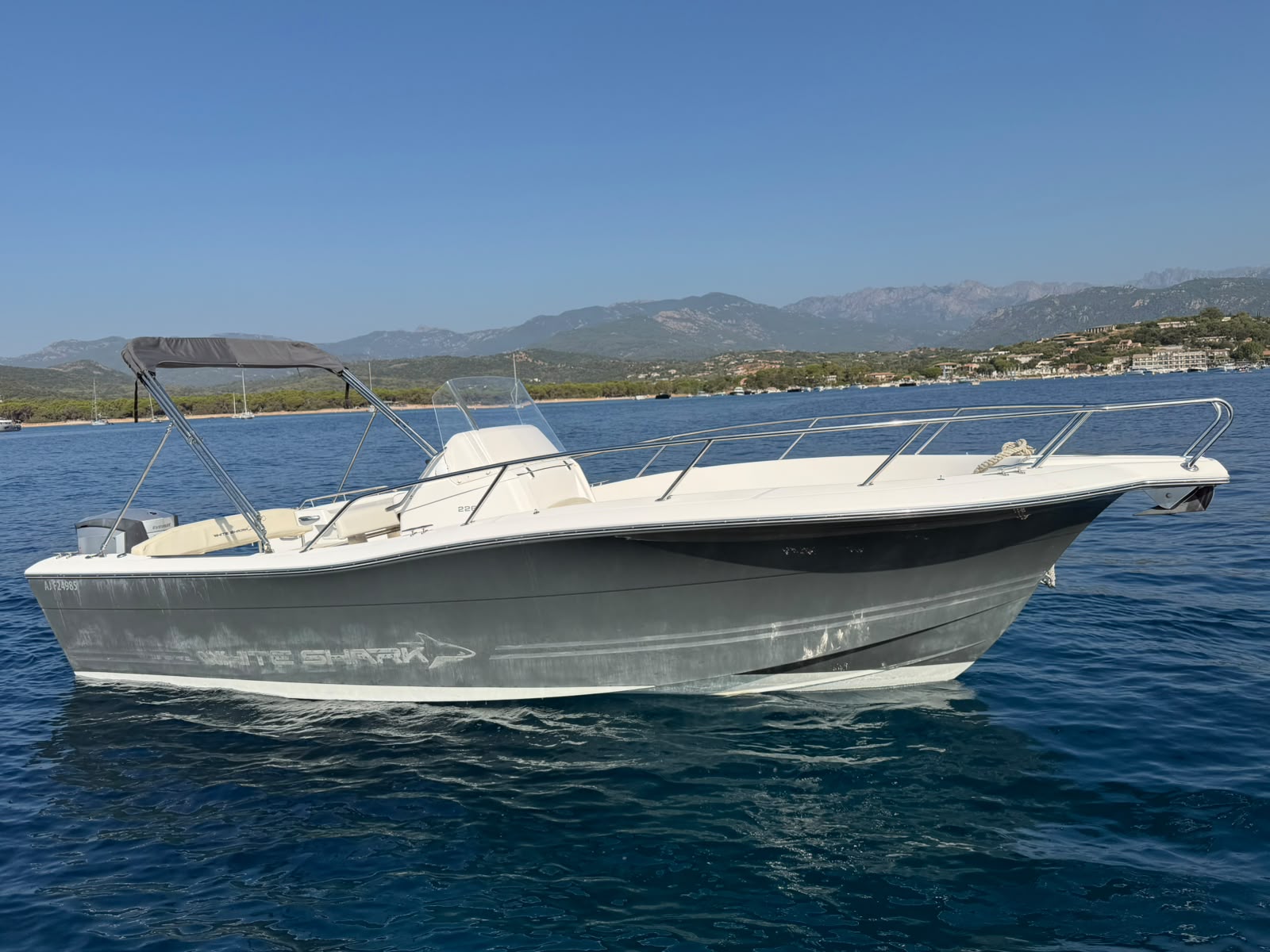 WHITE SHARK 226