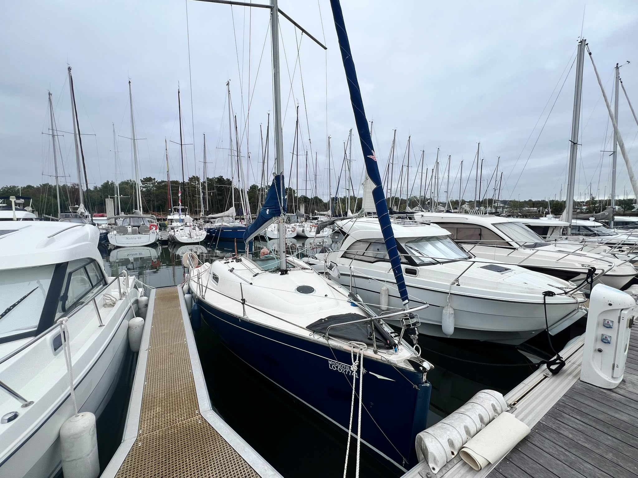 JEANNEAU SUN 2500