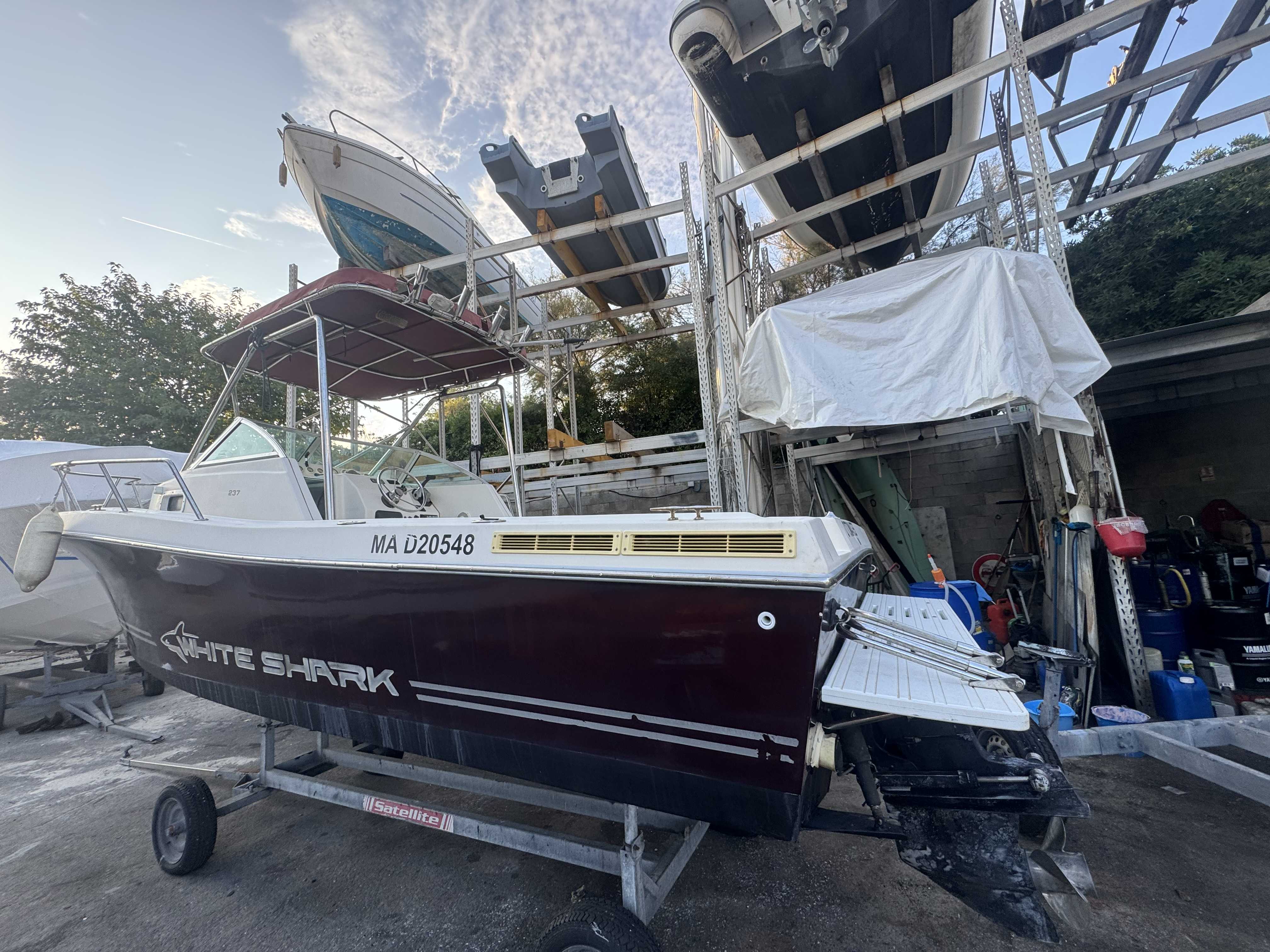 WHITE SHARK 237 WA