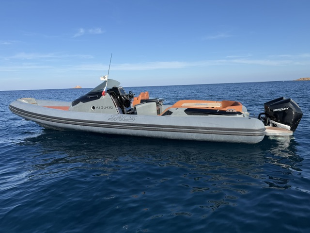 SACS STRIDER 11