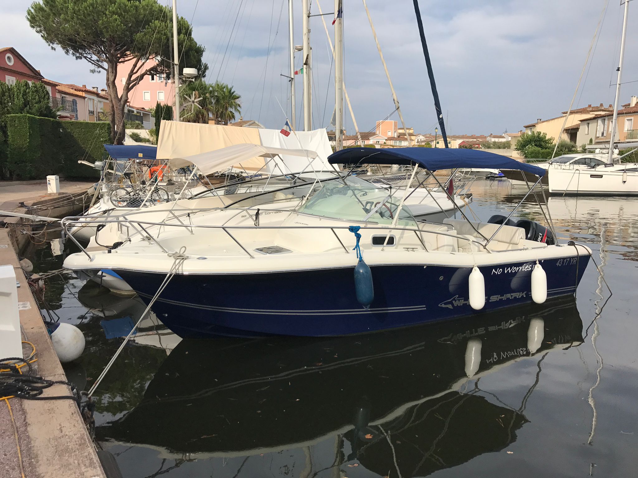 White Shark 268