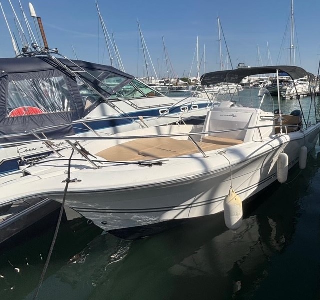 WHITE SHARK 246