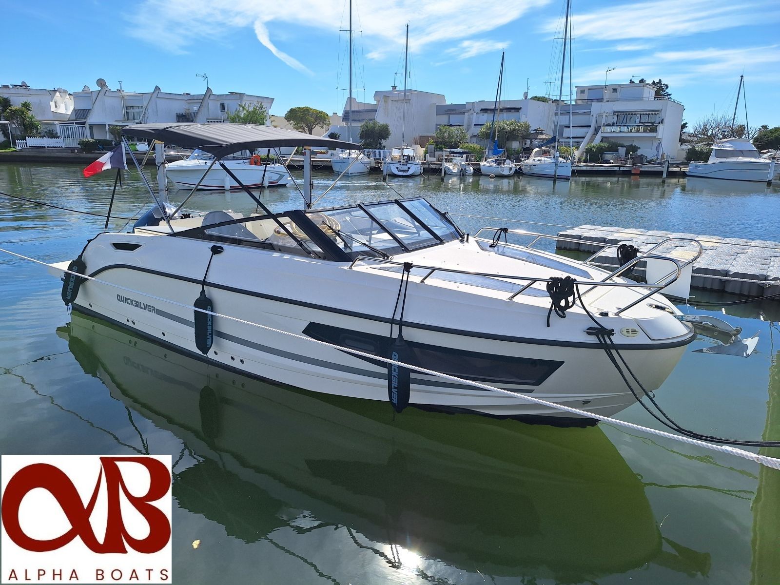 QUICKSILVER ACTIV 755
