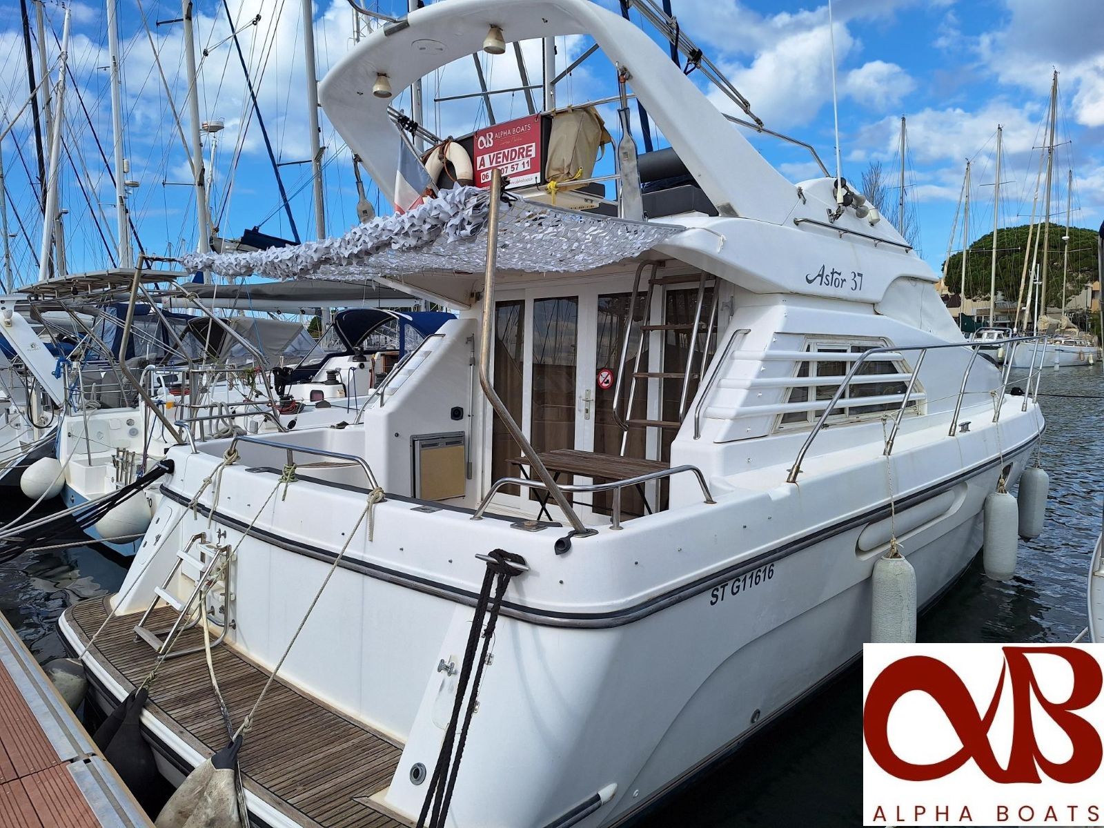ASTOR 37