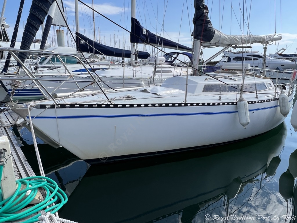 APS SAFFRE 44 SCOTCH