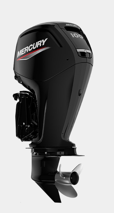 MERCURY F100